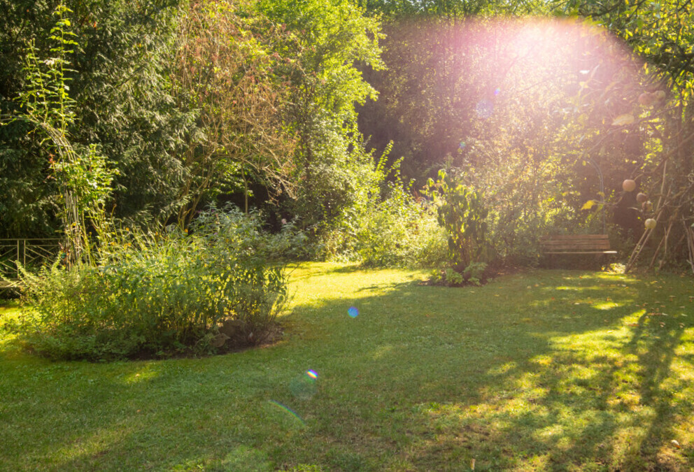 Garten