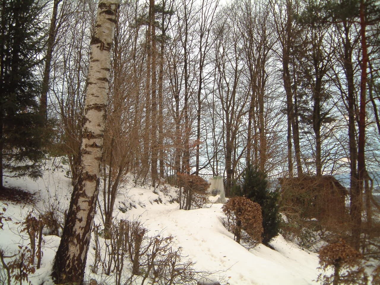 Traumhaftes HanggrundstÃ¼ck mit Blick Ã¼ber Berg
