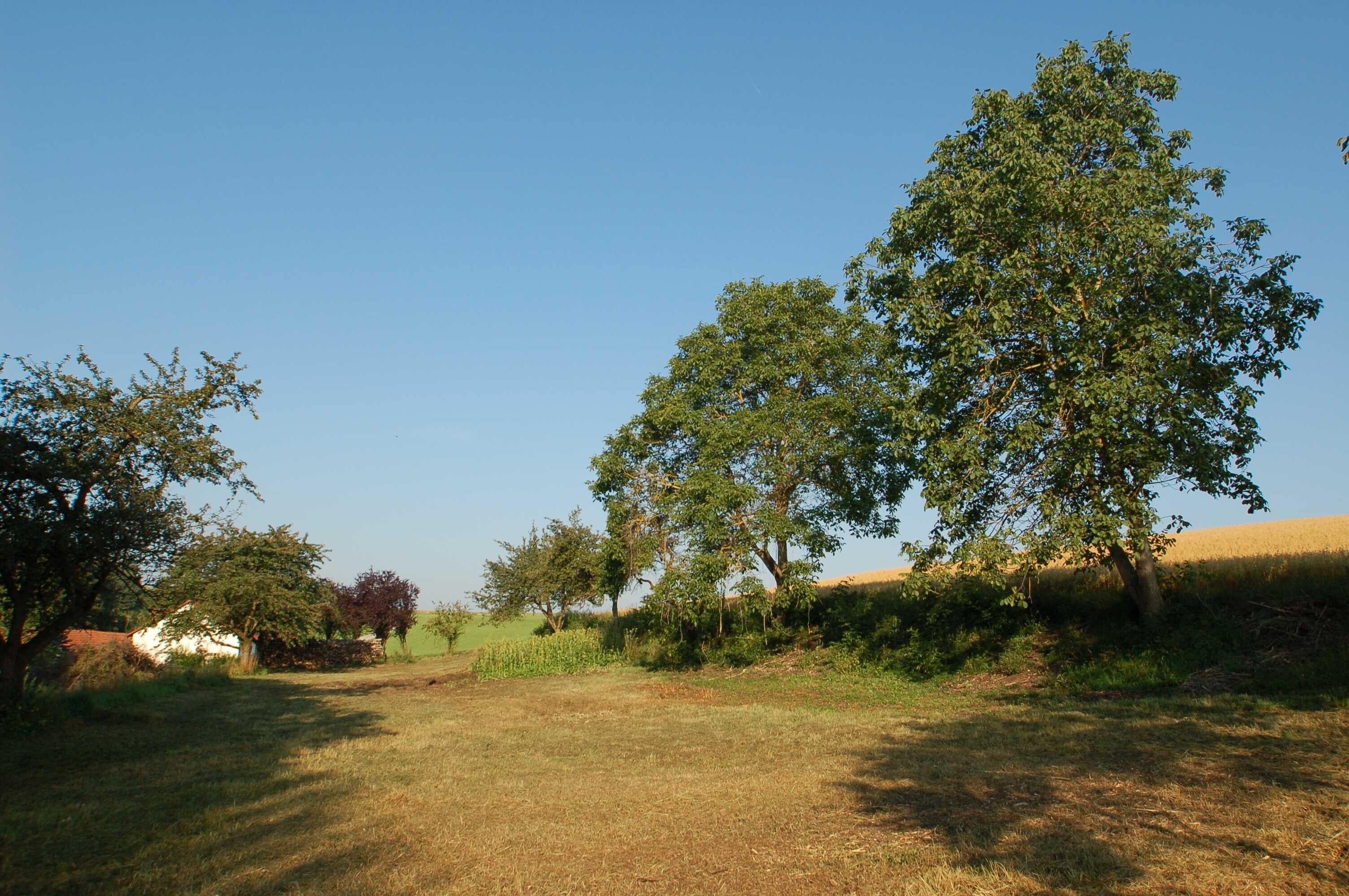 SchÃ¶nes GrundstÃ¼ck
