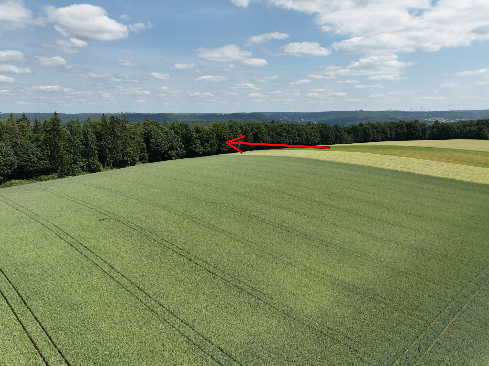 Blick auf das Grundstück von Süd-Westen aus