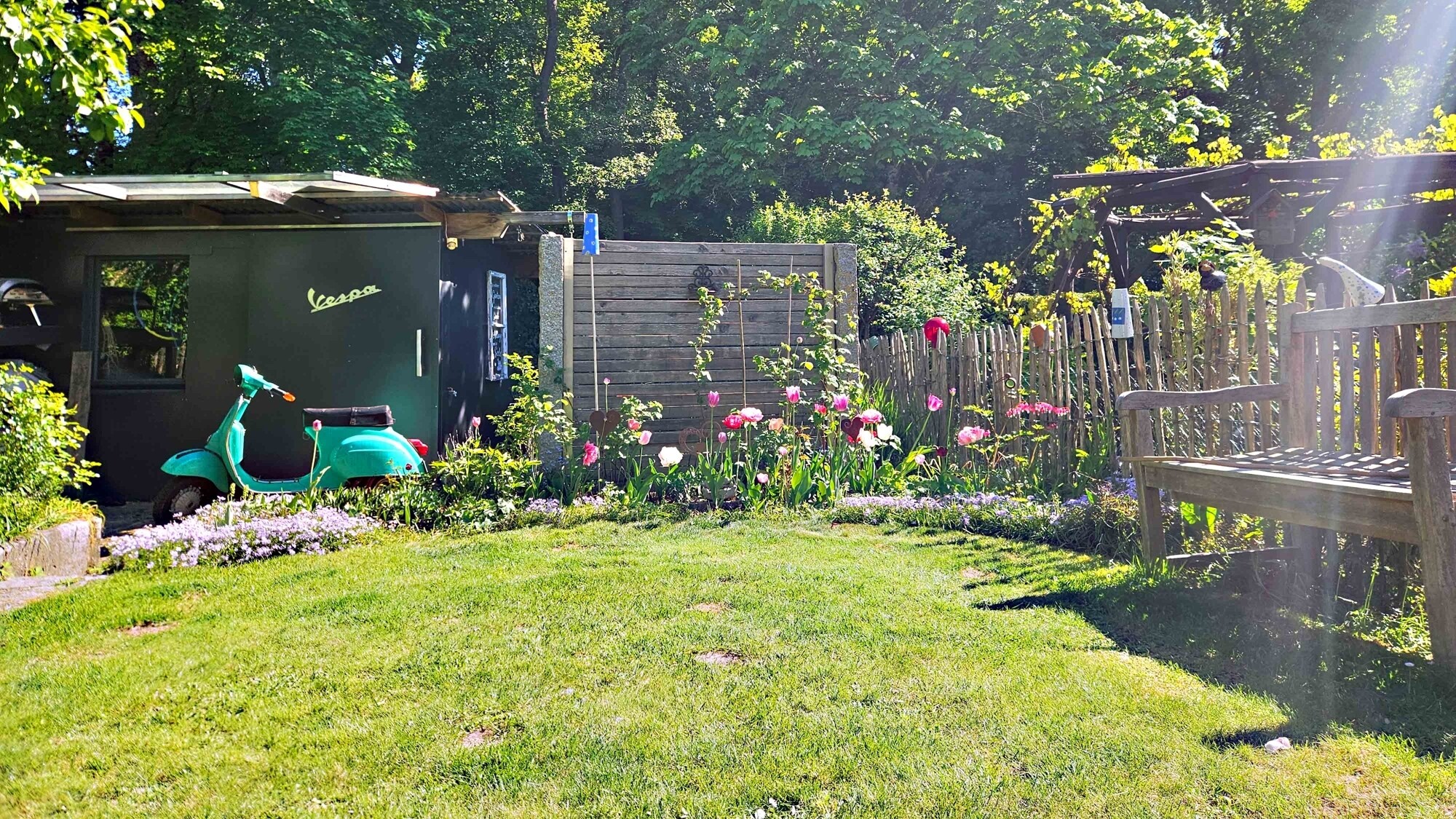 Garten im Sommer
