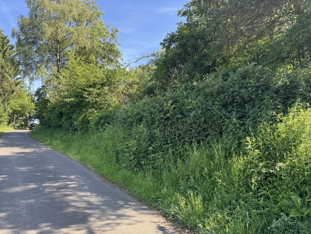 Ansicht_Straße