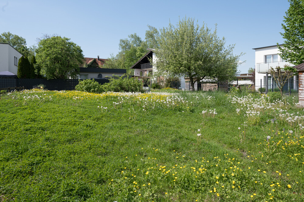 Immobilienbild