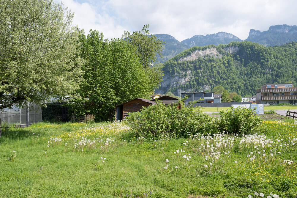 Immobilienbild