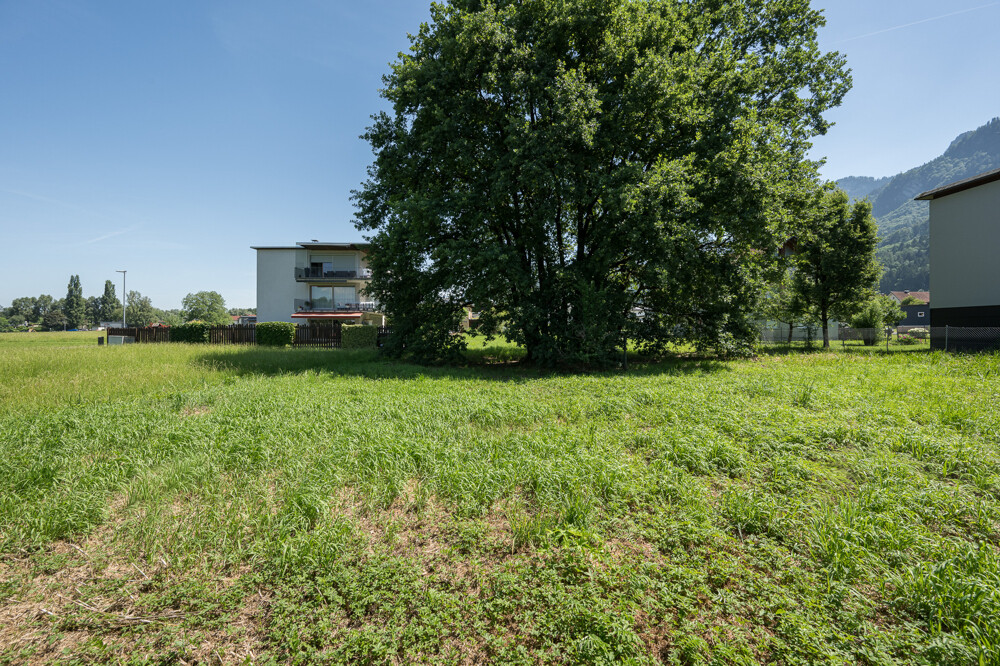 Immobilienbild