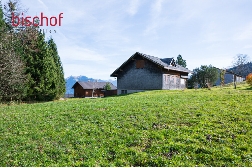 20251113_EngelInstallationen_Original-6999