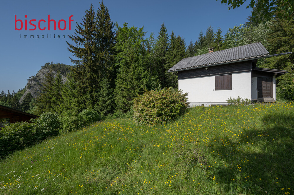Immobilienbild
