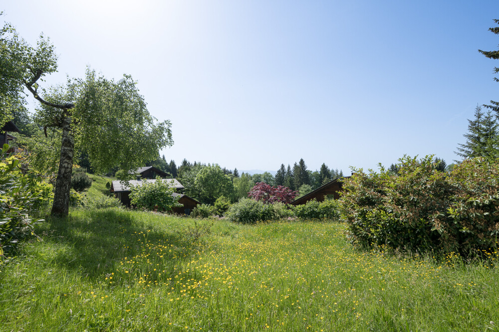 Immobilienbild