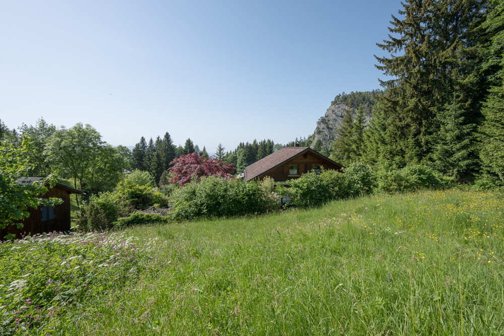 Immobilienbild
