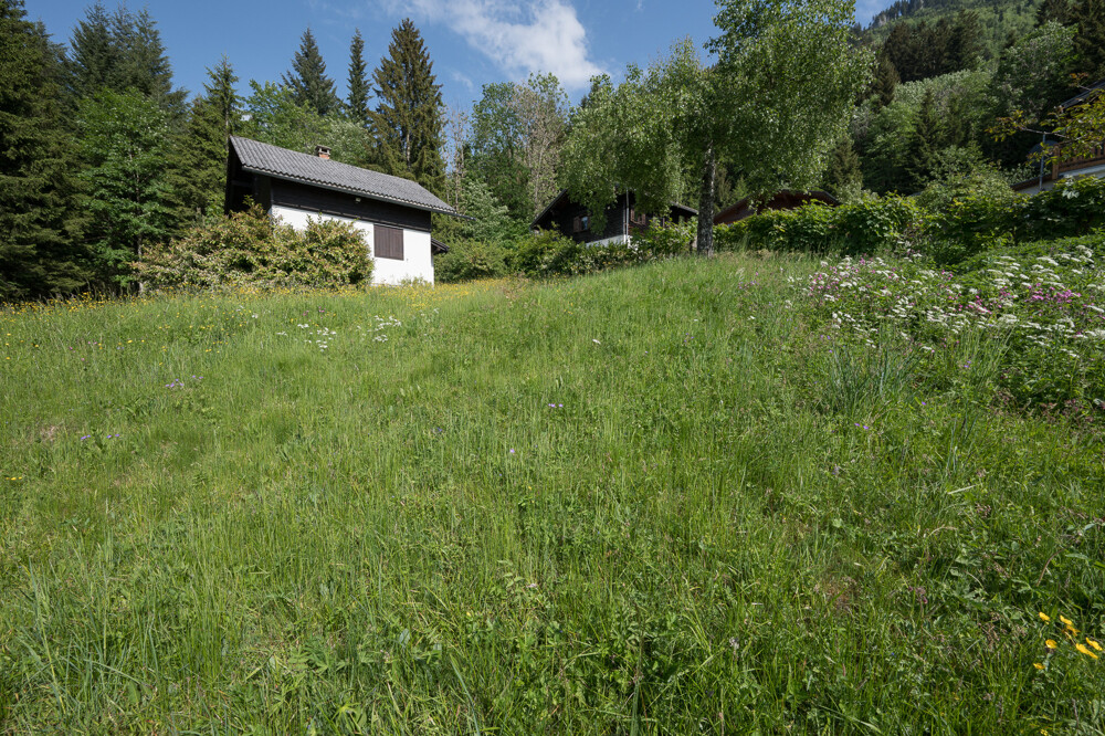 Immobilienbild