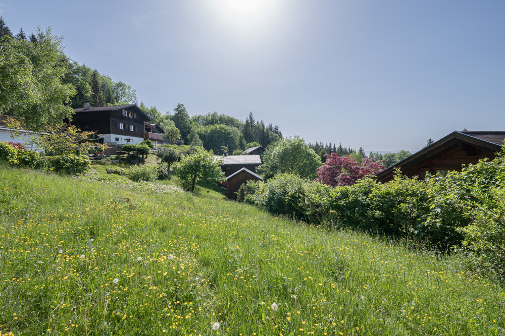 Immobilienbild