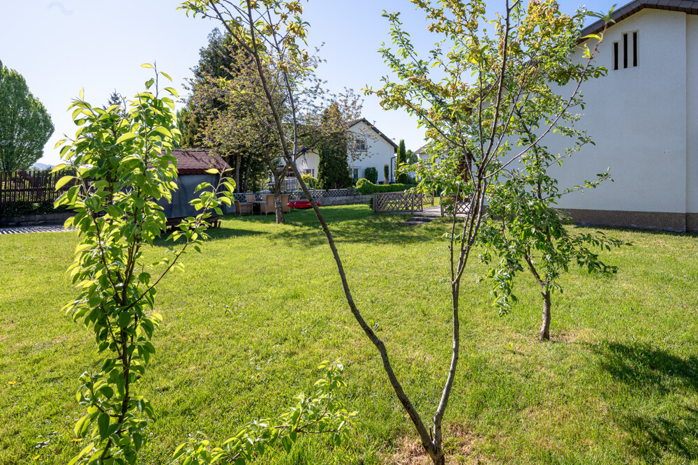 Immobilienbild