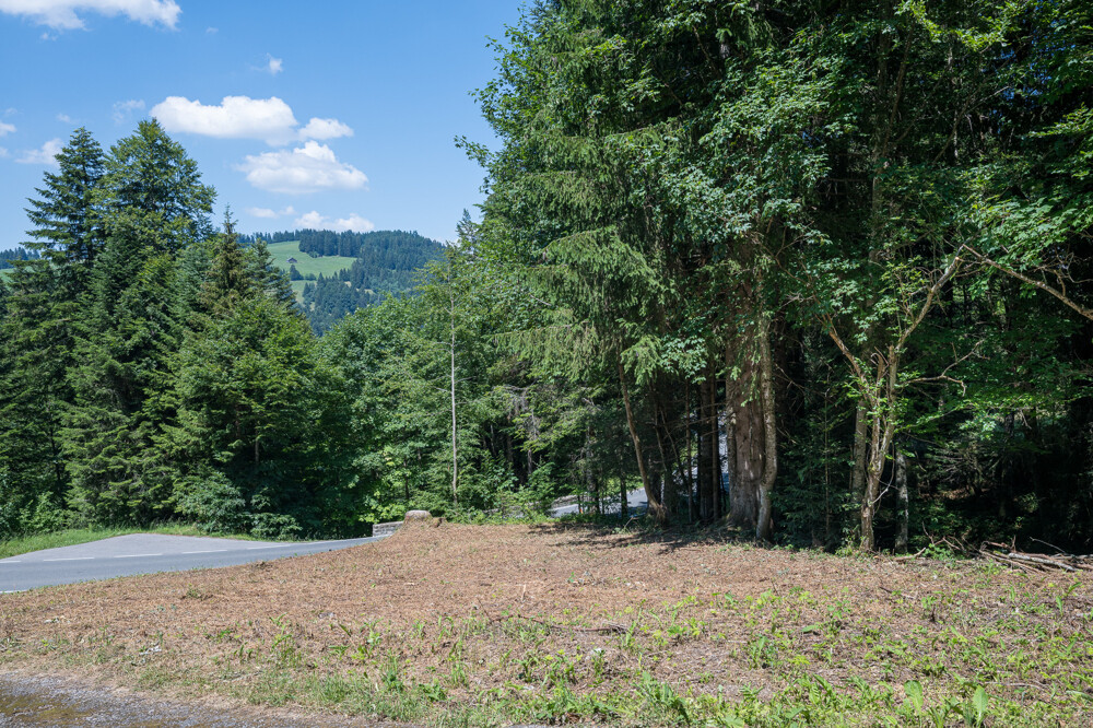 Immobilienbild