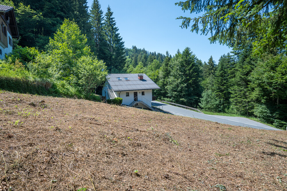 Immobilienbild