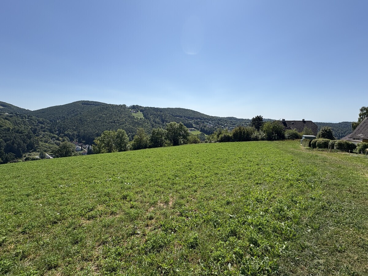Ansicht