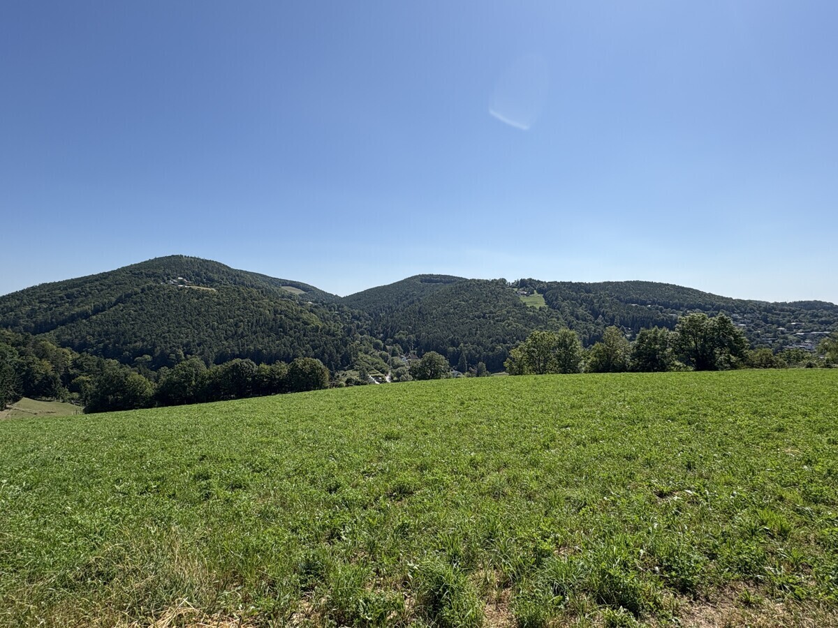 Ausblick