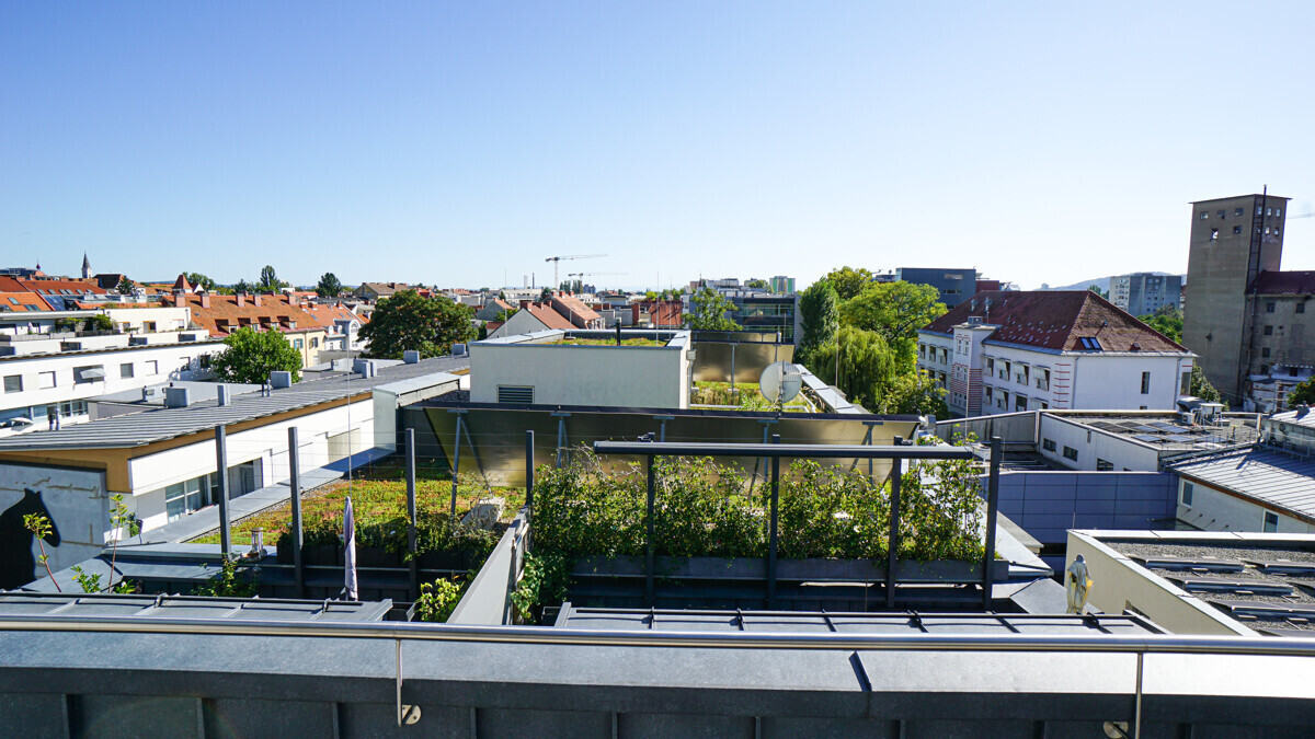 Terrasse 1