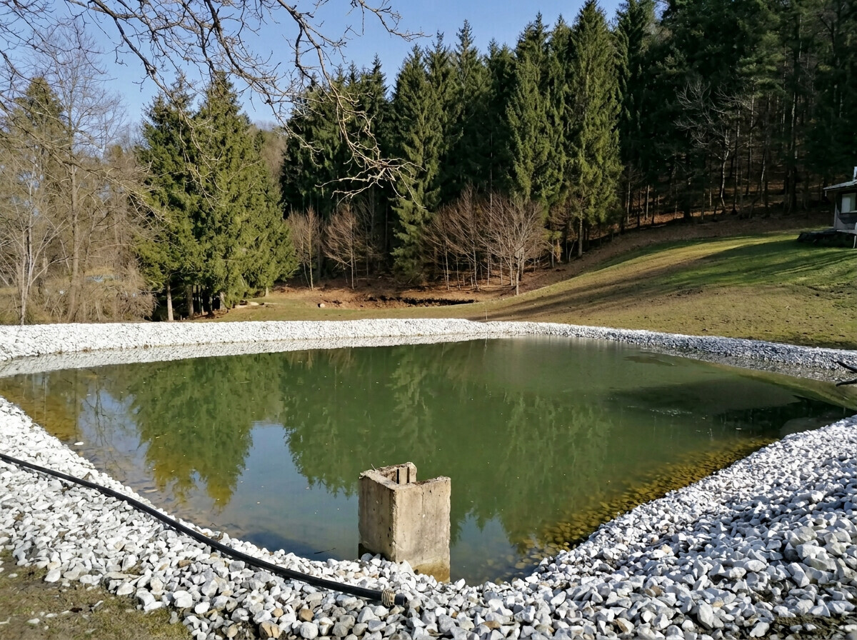 Ansicht (KI optimiert)