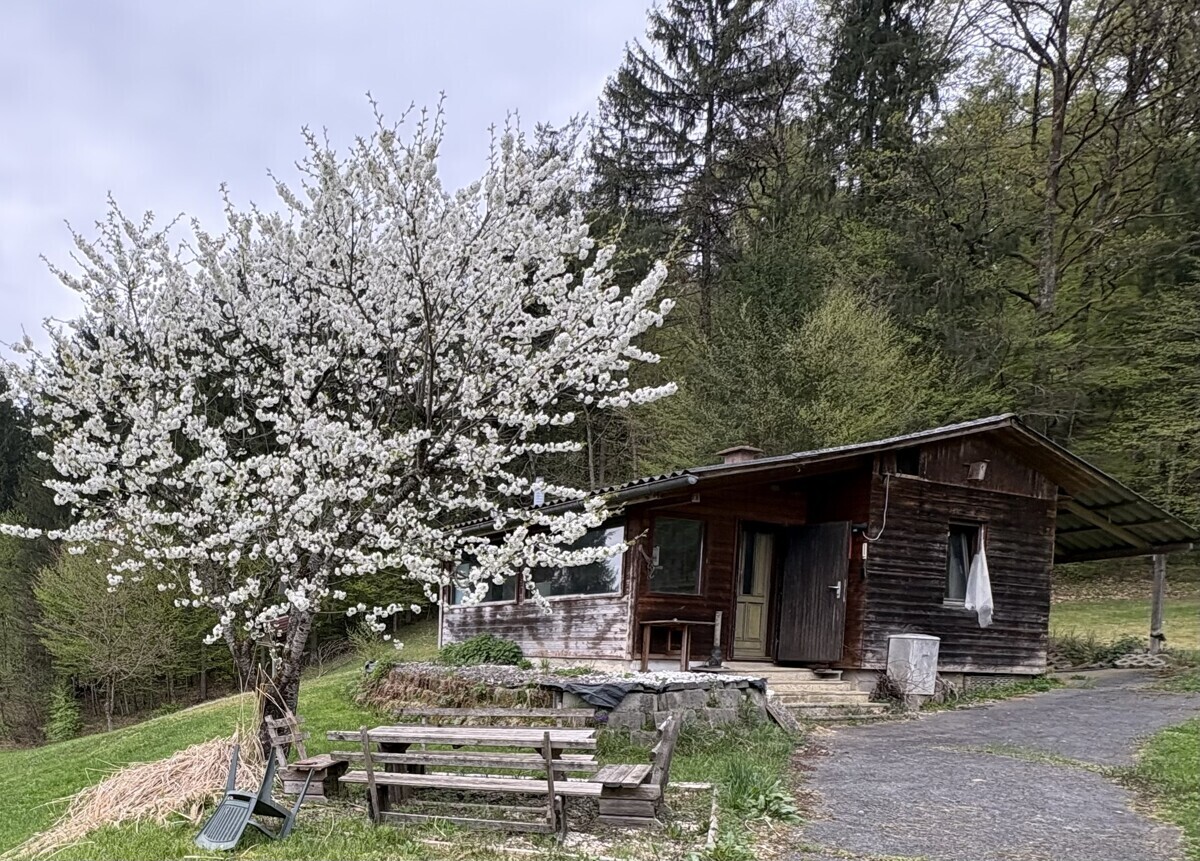 Hütte