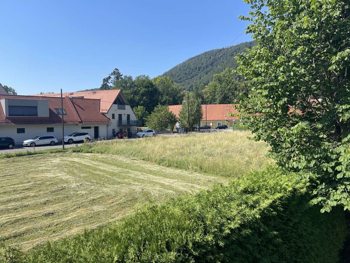 Grundstück