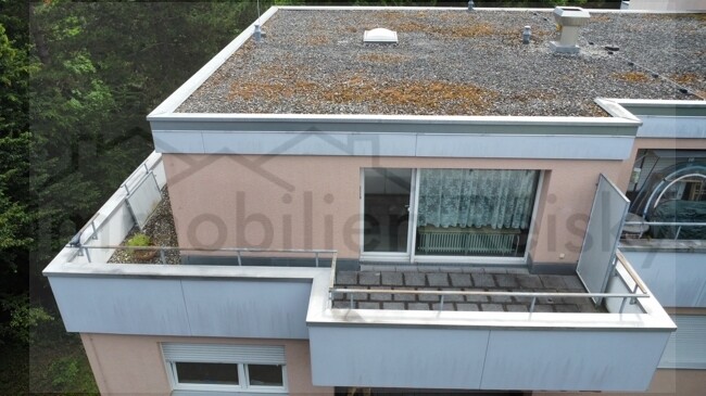 dji_fly_20250715_105100_481_1752569576275_photo_optimized