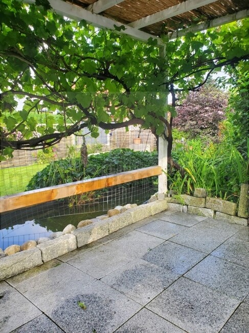 8626c4ff-6a57-4a18-8aa5-c02d4cea685bfotos_wald_