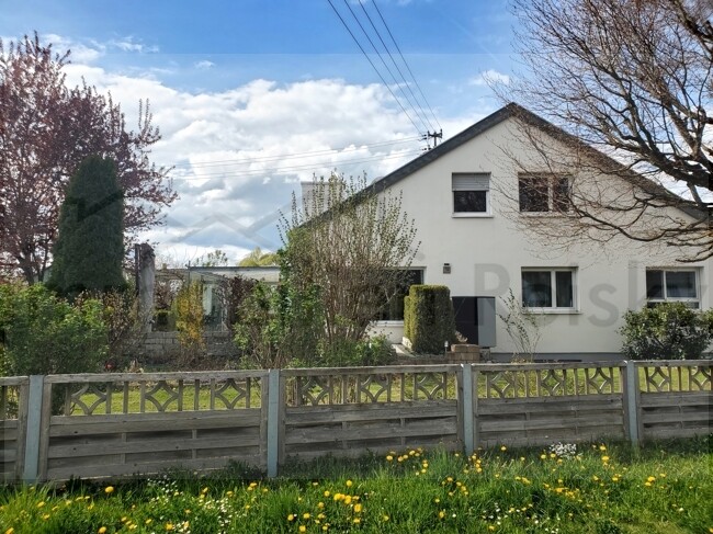 bb19fa51-2243-47f1-9512-252a723c344efotos_wald_