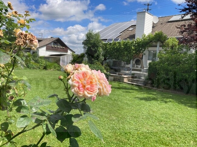 PHOTO-2024-06-16-12-08-06fotos_wald_