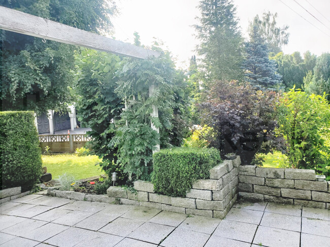 EAC63C59-062B-43FB-8DD9-83EE743CE813fotos_wald_