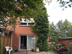 Außenansicht von hinten