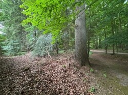 Park