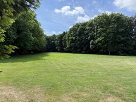 IMG_0902