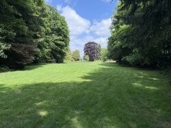 IMG_0908