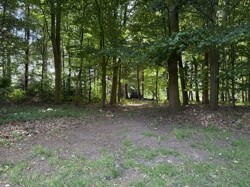IMG_0907