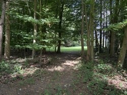 IMG_0911