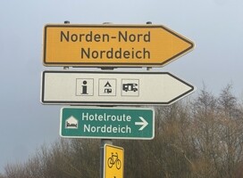 IMG_6643