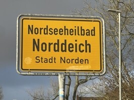IMG_6645
