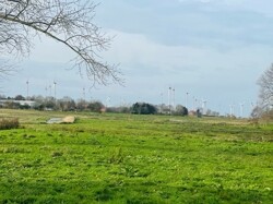 IMG_6535