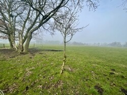 IMG_7057