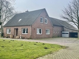 IMG_7055
