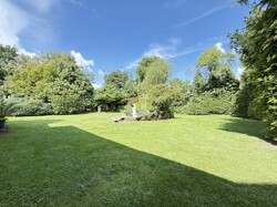 IMG_4271