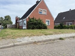 IMG_5248