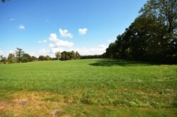 Blick nach hinten raus