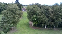 IMG_4306