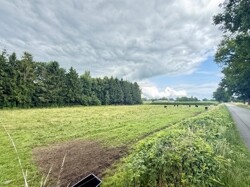 IMG_4338