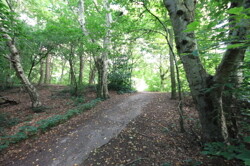 Wanderweg