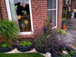 IMG_20210818_160652_0