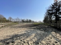IMG_5215