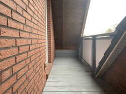 IMG_4428