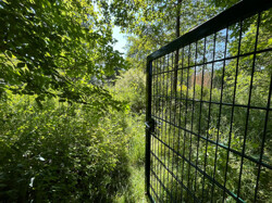 Ansicht  hinterer Garten 